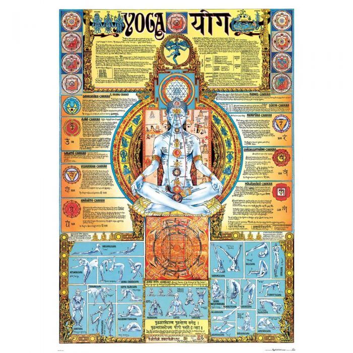 Yoga Chakra Poster