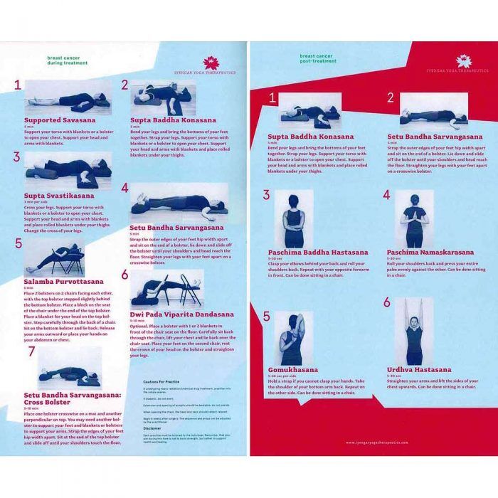 Iyengar Yoga Therapeutics Breast Cancer During Treatment and Post Treatment Chart I