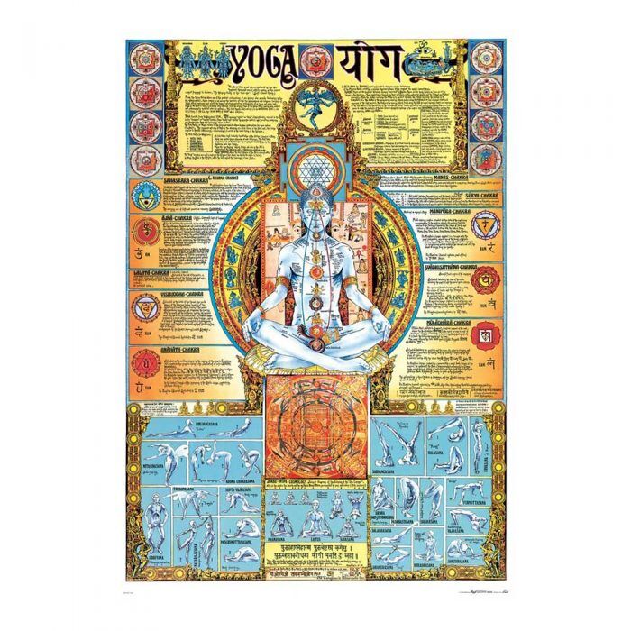 Yoga Chakra Poster