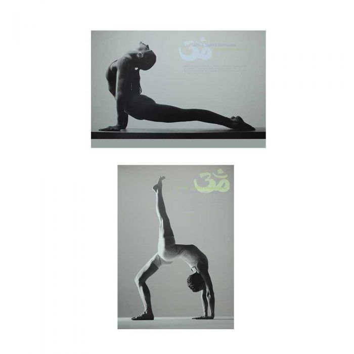 Urdhva Mukha Svanasana Eka Pada Urdhva Dhanurasana