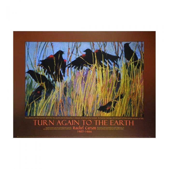 Turn Again To The Earth 18 x 24