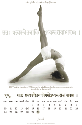 12 Classic Astanga poses Photo Calendar 2007 - Image 8