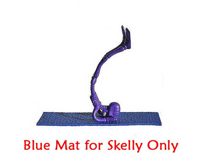 Blue Yoga Mat for Skelly only