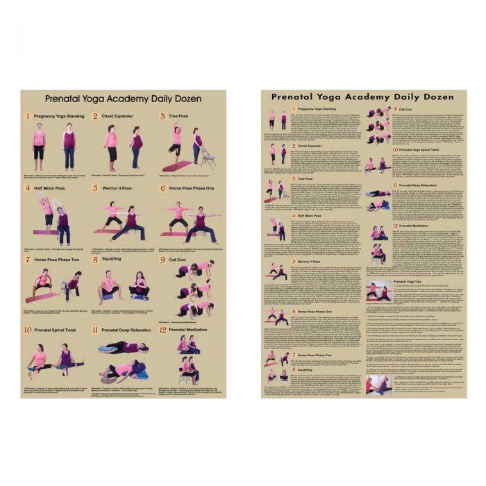 PO0260-20POPCPREN Prenatal Poster Chart