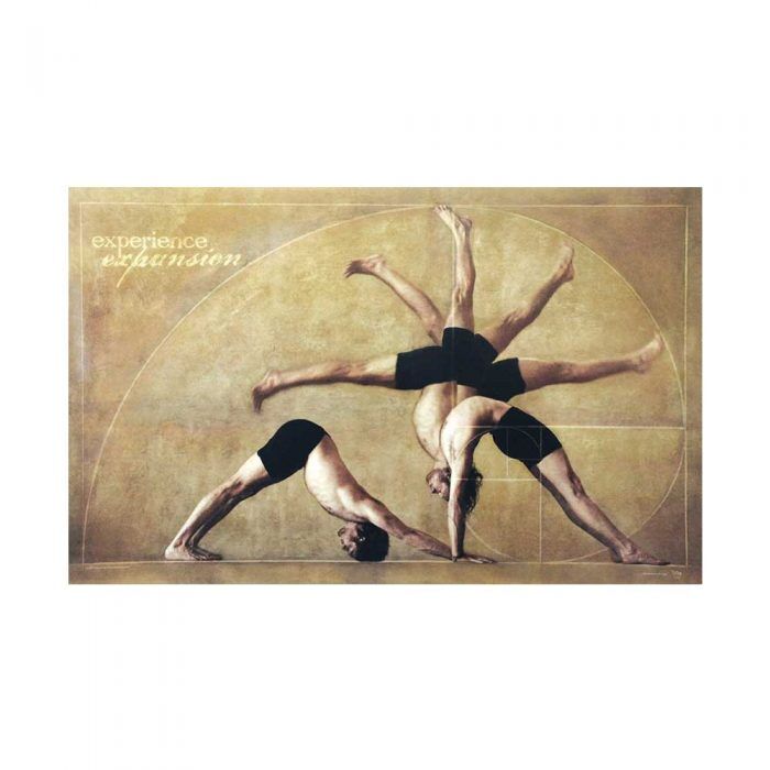 Experience Expansion Yoga Poster