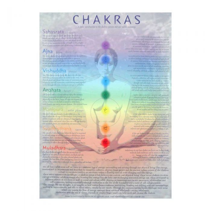 Chakra Subtle Anatomy Poster